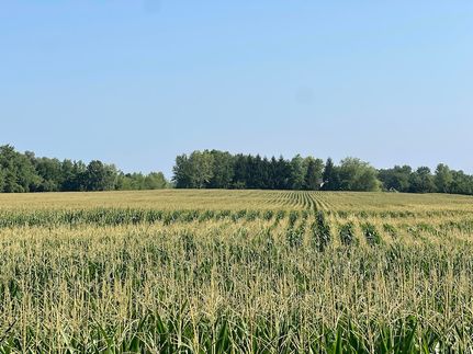 Undeveloped Land in Porter County, Indiana