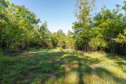 Undeveloped Land for sale in Albemarle County, Virginia