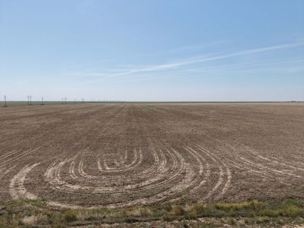 Timberland Property for sale in Hansford County, Texas