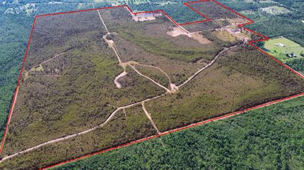 Undeveloped Land for sale in Bay County, Florida