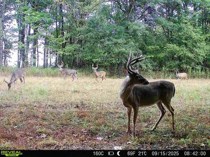 Recreational Property for sale in Panola County, Mississippi