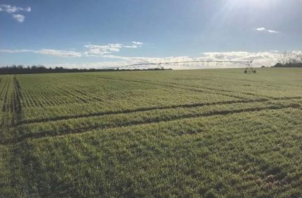 Farm and Ranch for sale in Sumter County, Georgia