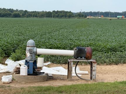 Land for sale in Saint Francis County, Arkansas