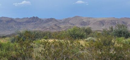 Undeveloped Land for sale in Brewster County, Texas