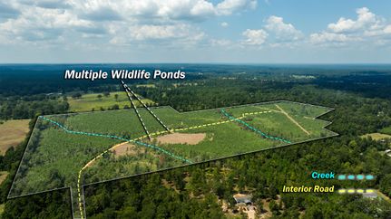 Farm and Ranch for sale in Angelina County, Texas