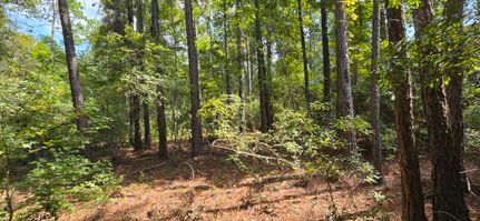 Farm and Ranch for sale in Dodge County, Georgia