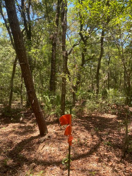 Timberland Property for sale in Putnam County, Florida