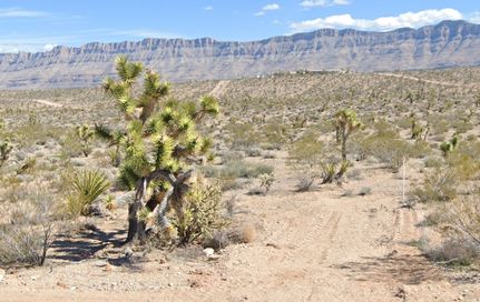 Commercial Property for sale in Mohave County, Arizona