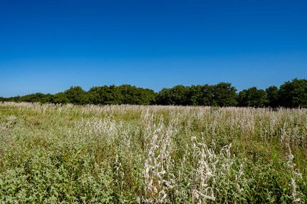 Land for sale in Eastland County, Texas