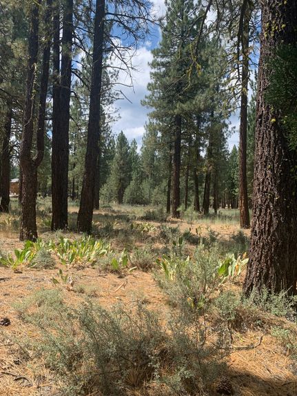 Recreational Property for sale in Plumas County, California