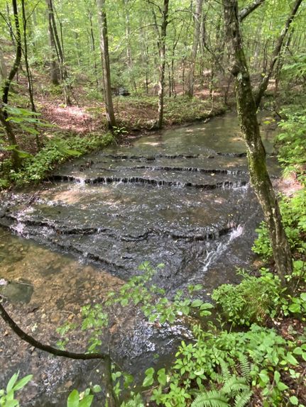 Farm and Ranch for sale in Lewis County, Tennessee