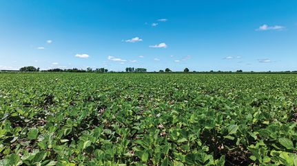 Undeveloped Land for sale in Pottawatomie County, Kansas