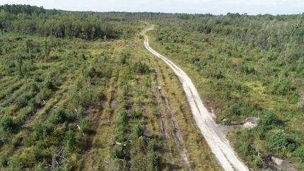 Farm and Ranch for sale in Washington County, Florida