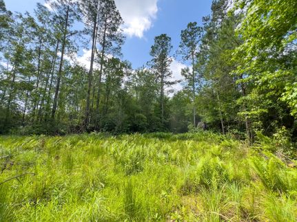 Recreational Property for sale in Jefferson County, Florida