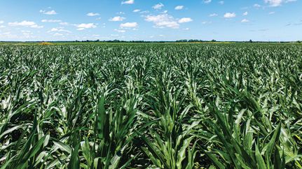 Undeveloped Land for sale in Pottawatomie County, Kansas