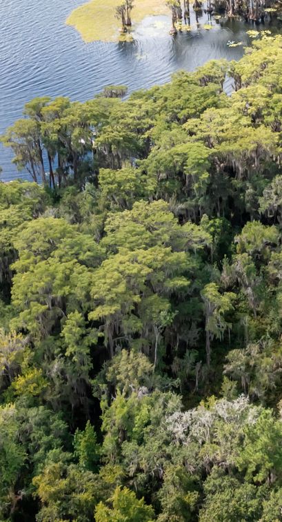 Lakefront Property for sale in Alachua County, Florida