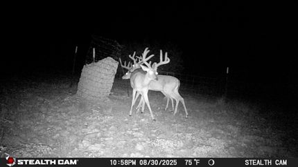 Recreational Property for sale in Edwards County, Texas