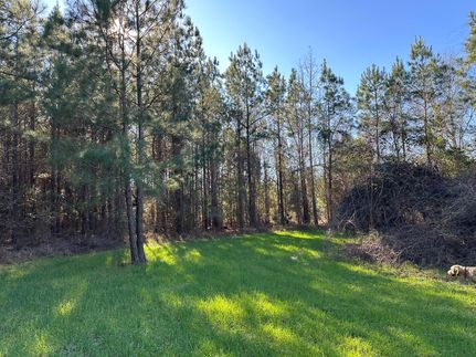 Undeveloped Land for sale in Houston County, Alabama