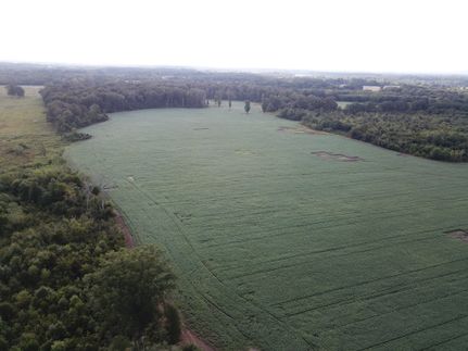 Land for sale in Lawrence County, Alabama