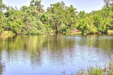 Timberland Property for sale in Gillespie County, Texas