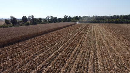 Farm and Ranch for sale in Clay County, Arkansas