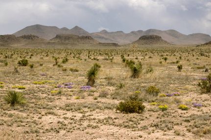 Undeveloped Land for sale in Presidio County, Texas