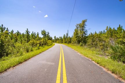 Timberland Property for sale in Liberty County, Florida