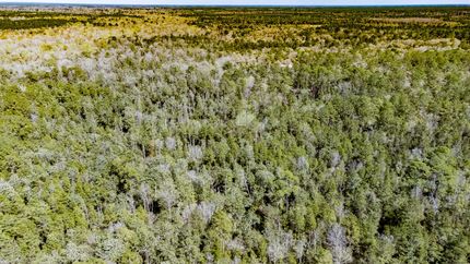 Recreational Property for sale in Liberty County, Florida