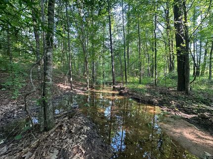 Timberland Property for sale in Bibb County, Alabama