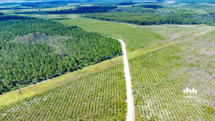 Hunting Property for sale in Gulf County, Florida