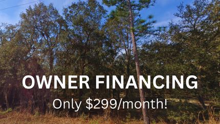 Undeveloped Land in Putnam County, Florida