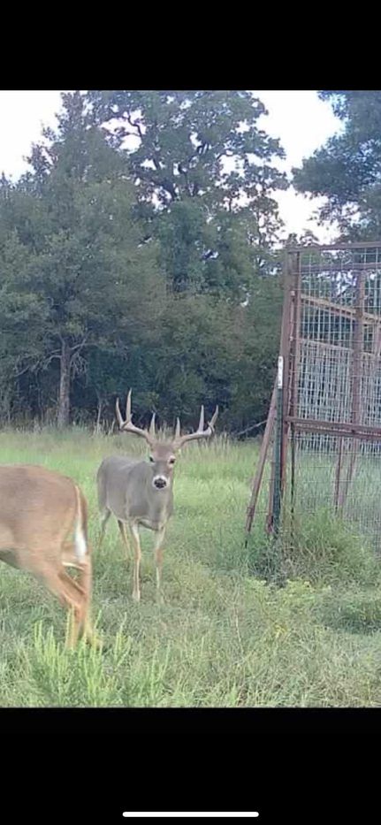 Land for sale in Erath County, Texas