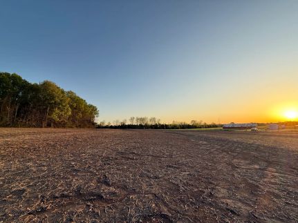 Undeveloped Land for sale in Lawrence County, Alabama