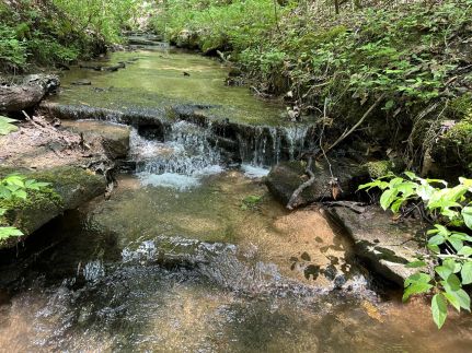 Farm and Ranch for sale in Marion County, Alabama