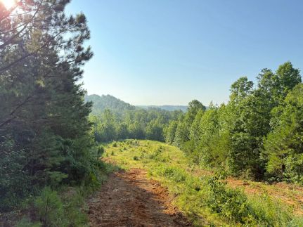 Land for sale in Marion County, Alabama