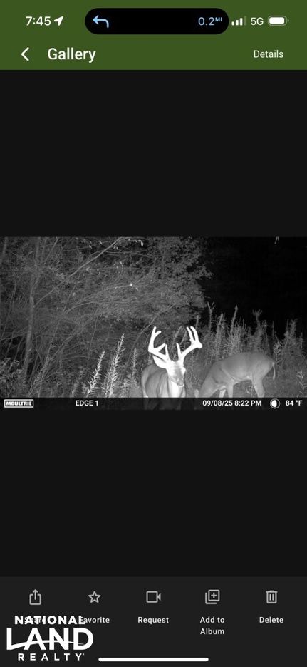 Land for sale in Blount County, Alabama