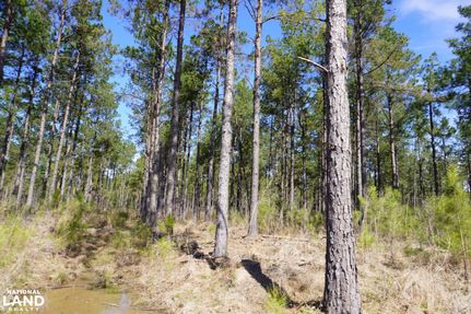 Hunting Property for sale in Cleveland County, Arkansas