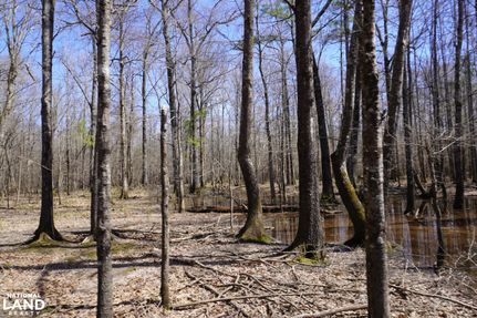 Timberland Property for sale in Dallas County, Arkansas
