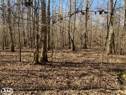 Land for sale in Dallas County, Arkansas