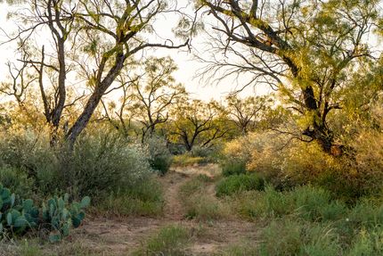 Farm and Ranch for sale in McCulloch County, Texas