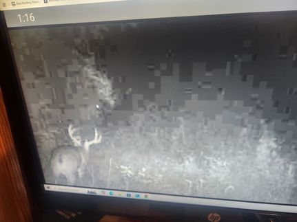 Farm and Ranch in McDonough County, Illinois