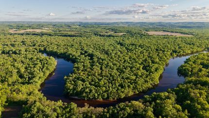 Timberland Property for sale in La Crosse County, Wisconsin