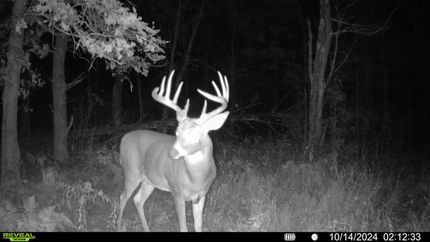 Timberland Property for sale in Washburn County, Wisconsin