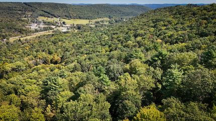 Farm and Ranch for sale in Tioga County, New York