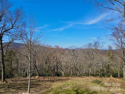 Undeveloped Land in Watauga County, North Carolina