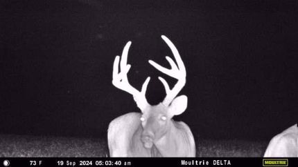 Hunting Property for sale in Colbert County, Alabama