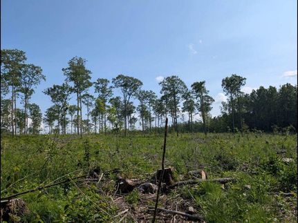 Lakefront Property for sale in Sawyer County, Wisconsin