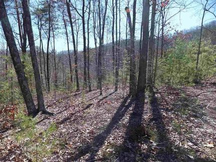 Timberland Property for sale in Cocke County, Tennessee