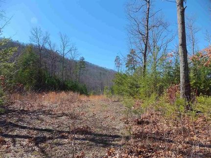 Lakefront Property for sale in Cocke County, Tennessee