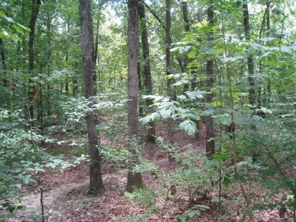 Homesite for sale in Miller County, Arkansas